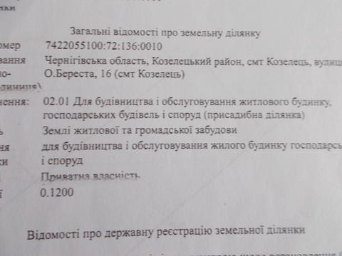 участок по адресу пгт. Козелец, О.Береста, 16