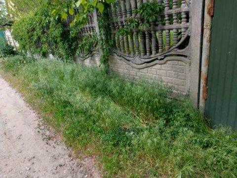 ділянка за адресою 