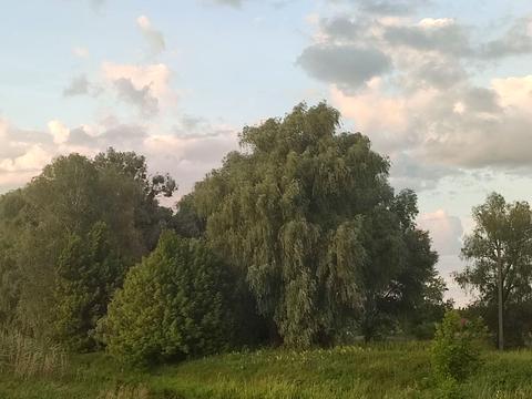 участок по адресу Першотравнева