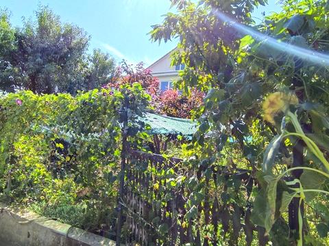 дом по адресу комунальна