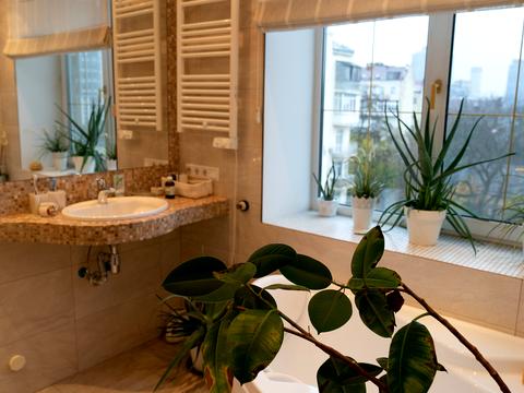 квартира по адресу Владимирская ул., 71