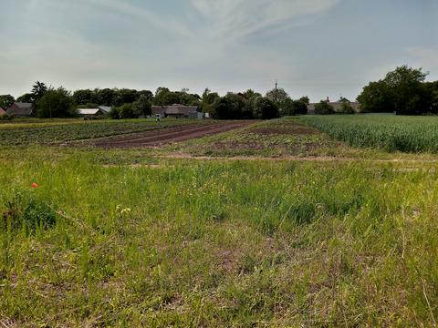 участок по адресу Нове село