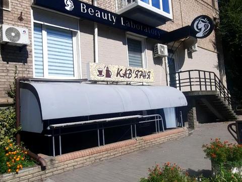 комерційна за адресою Зелінського вул., 6
