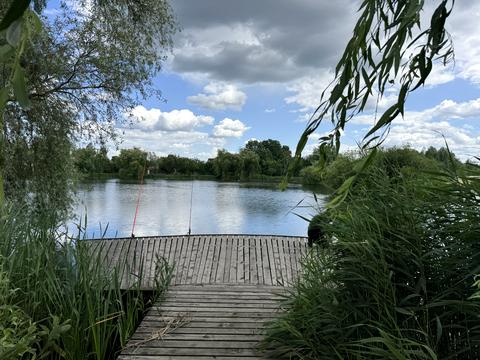 будинок за адресою Дніпровська вул. (Калініна), 55