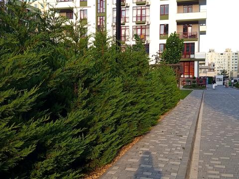 квартира за адресою Владислава Бувалкіна вул. (Бочарова Генерала), 60/1