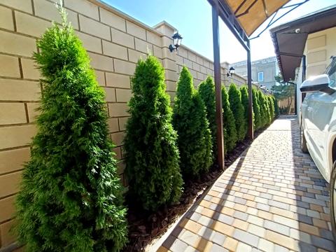 будинок за адресою Висоцького просп.