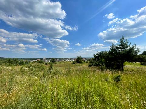 участок по адресу с. Борки, 