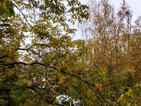 квартира за адресою Покровська вул., 1