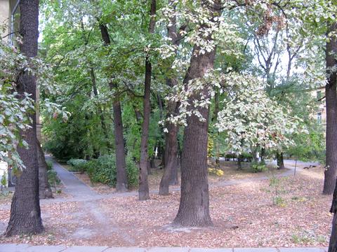 кімната за адресою Авіаконструктора Антонова вул., 2/32