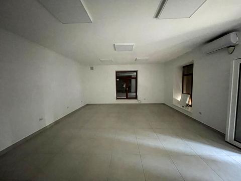 комерційна за адресою Рєпіна вул., 36