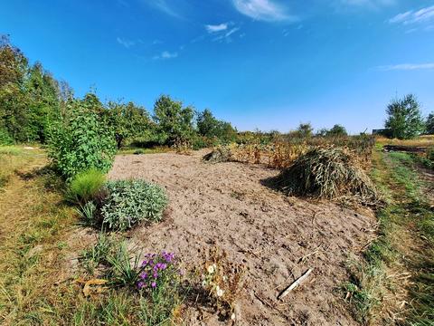участок по адресу Чернигов, Мира просп.