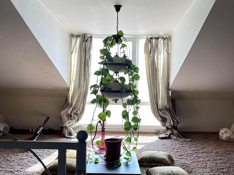 будинок за адресою Дача Ковалевського вул.