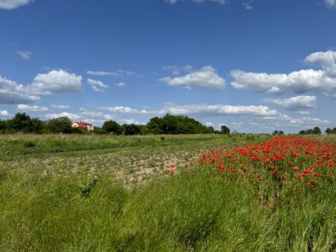 ділянка за адресою Європейська, 12