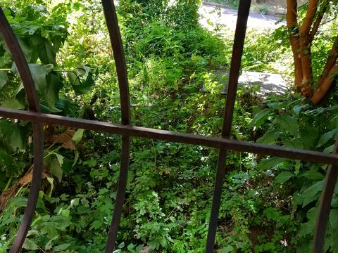 квартира за адресою Лук'янівська вул., 81