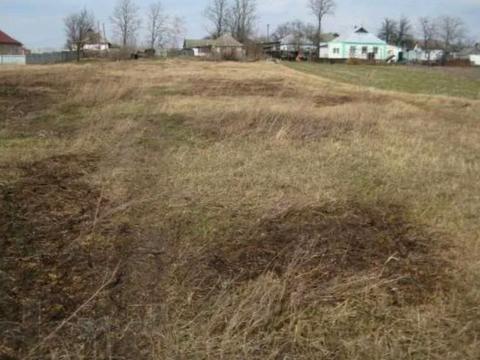 участок по адресу с. Борщев, Грушевського