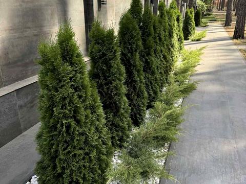 будинок за адресою Котляревського вул.