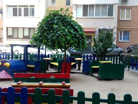 квартира за адресою Центральна вул., 7