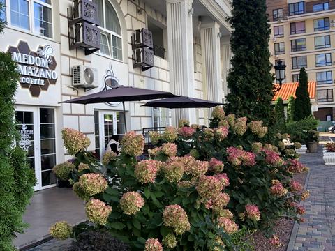 квартира за адресою Михайла Максимовича вул. (Онуфрія Трутенка), 24-А