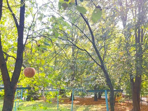 квартира по адресу Вокзальна, 1