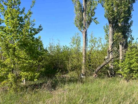 участок по адресу Тарасівська, 33