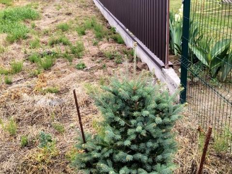 дом по адресу Независимости ул.