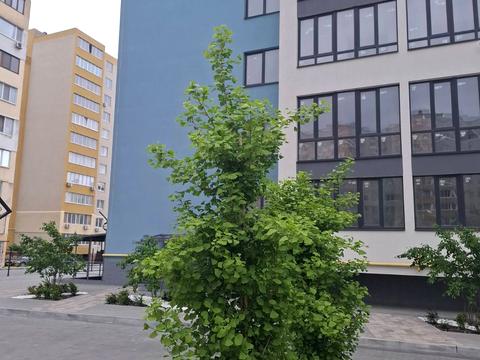квартира по адресу Академика Сахарова ул., 14