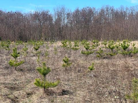 участок по адресу 