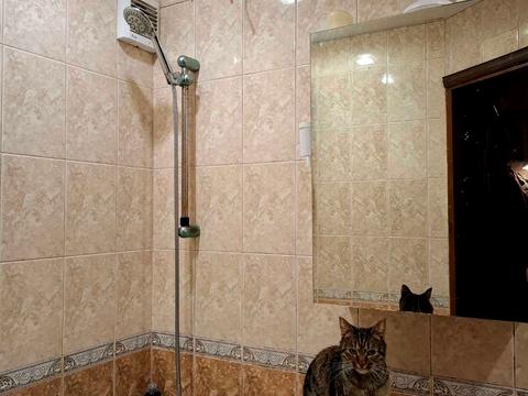 квартира за адресою Високовольтна вул., 8