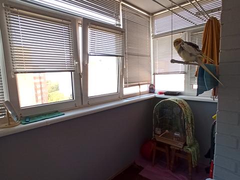 квартира по адресу Свободи просп. (Прокофʼєва), 39/1