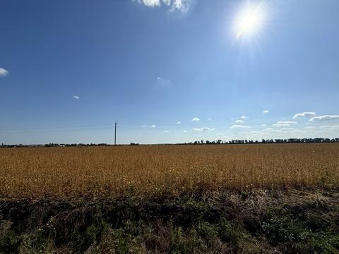 ділянка за адресою с. Ксаверівка, 