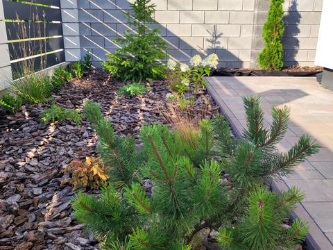 дом по адресу Бориса Лятошинського ул. (1 Травня)