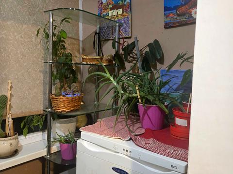 квартира за адресою Миколи Бажана просп., 28