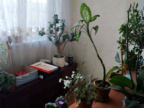 квартира за адресою Коммунаровская, 11
