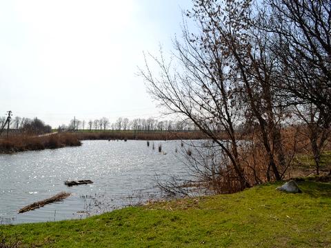 дом по адресу Гагаріна