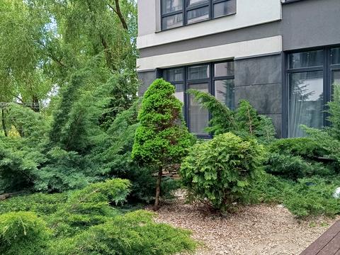 квартира за адресою Лісківська вул., 37