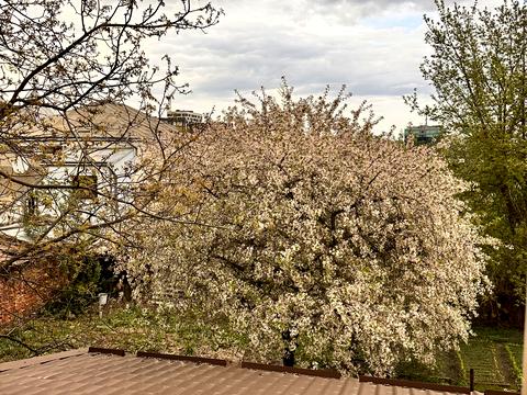 квартира по адресу Метлинського, 10