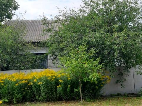 будинок за адресою Редьковская, 21