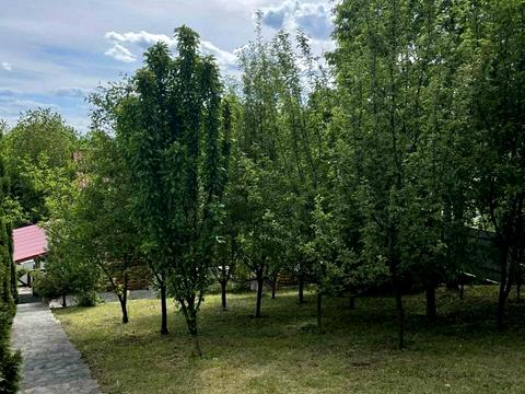 будинок за адресою с. Косівська поляна, без вулиці, 279А
