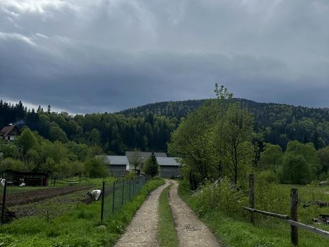 ділянка за адресою Курортна вул., 17