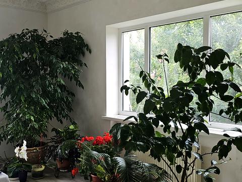 дом по адресу Паркова, 6