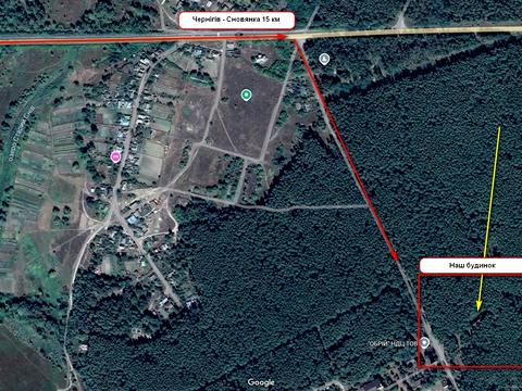 будинок за адресою лісова