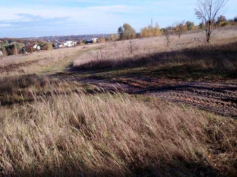 ділянка за адресою с. Ходосівка, Лесі Українки вул.