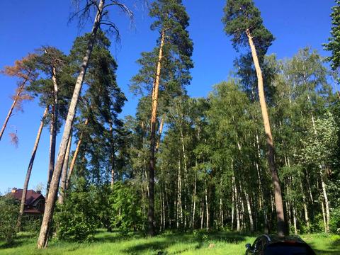 ділянка за адресою Михайла Чалого вул., 19-а
