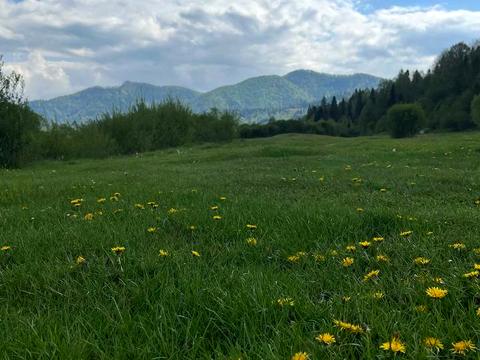 ділянка за адресою с. Тухля, Івана франка