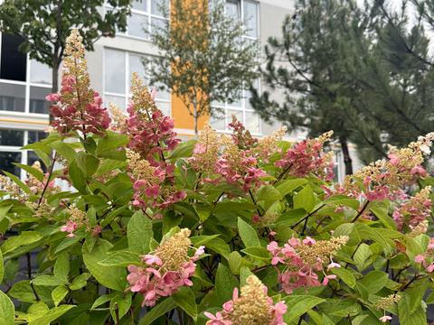 квартира по адресу  ул., 7