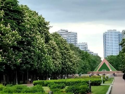квартира по адресу Князя Романа Мстиславича ул. (Генерала Жмаченка), 4