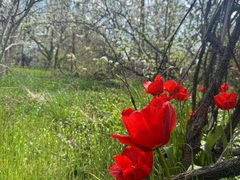 будинок за адресою Аврори, 10