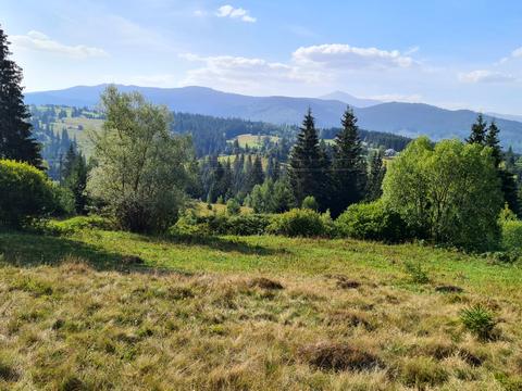 участок по адресу с. Яблоница, 