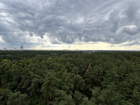 квартира за адресою Київ, Анатолія Петрицького вул., 17