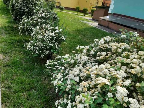 квартира за адресою Київ, Академіка Лебедєва вул., 1